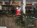 PICT2730.JPG
